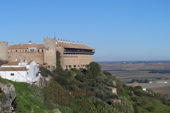 Cordoba & Carmona with Mezquita, Synagoge & Patios from Seville - Walking Comfort, Timing Tolerance, and What to Pack for a Long Day