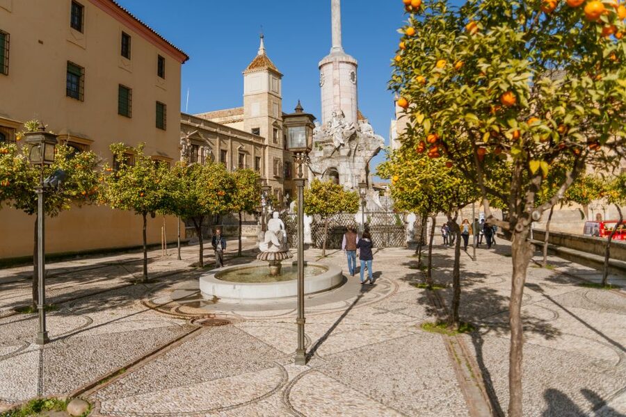 Córdoba: City Sightseeing Hop-On Hop-Off Bus Tour - Who this bus tour is best for