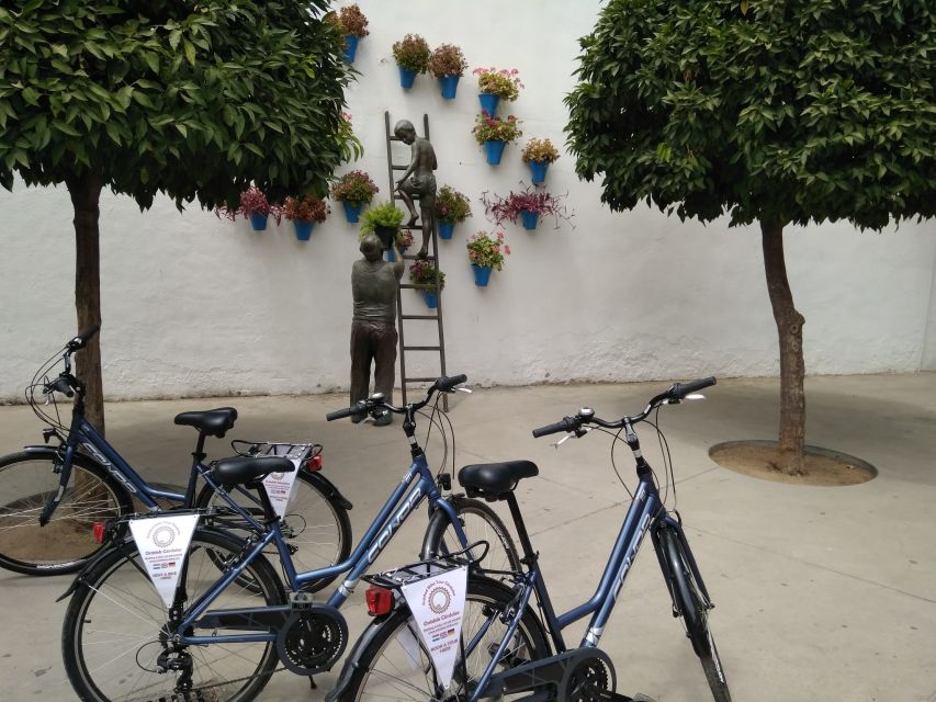 Córdoba Daily Highlights Bike Tour - Tapas tips after the ride: how to use your guide’s advice