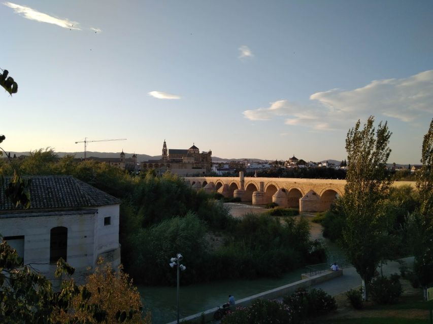 Córdoba Daily Highlights Bike Tour - Why this 2-hour Córdoba bike loop works so well