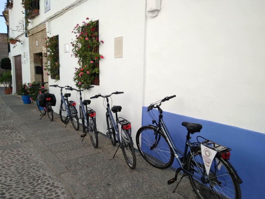 Córdoba Daily Highlights Bike Tour - Calahora Tower-Museum stop, and why the river matters
