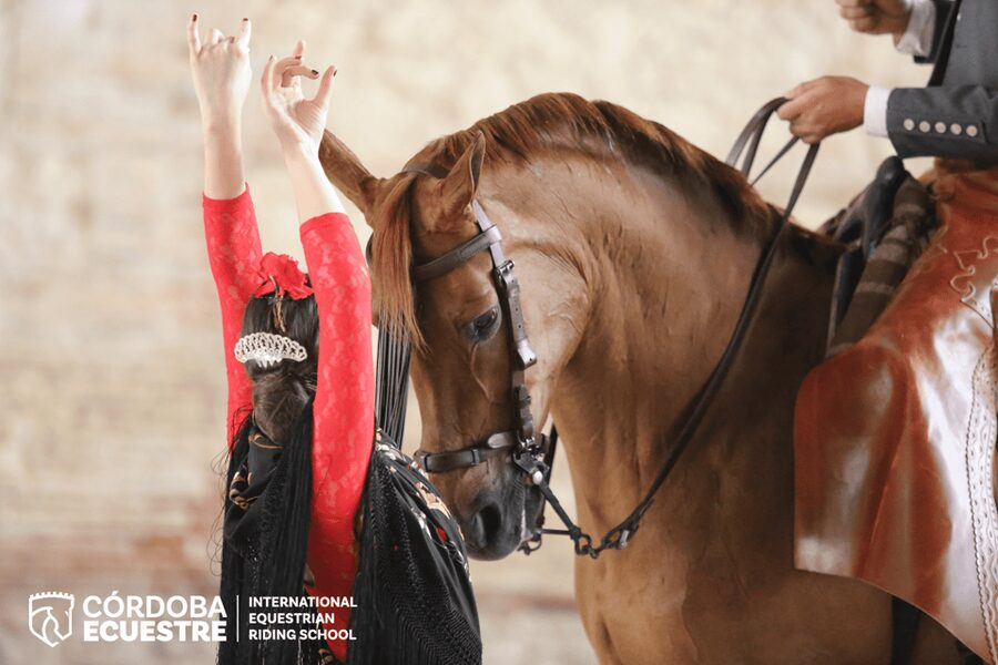 Cordoba: Equestrian Show General Entry - Córdoba’s Royal Stables: The Setting You Feel in Your Bones