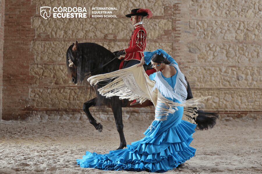 Cordoba: Equestrian Show General Entry - Andalusian Horses: Why This “Cradle” Theme Feels Real