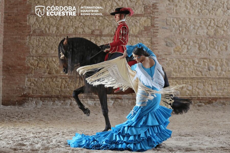 Cordoba: Equestrian Show General Entry - Do Not Bring Drinks, Do Bring Patience