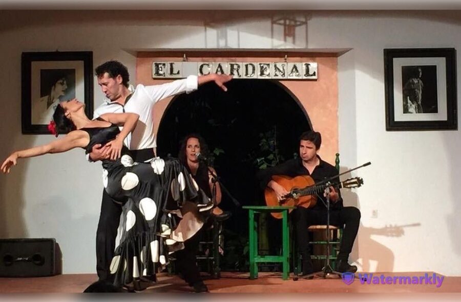 Córdoba: Flamenco Show Ticket with Drinks - Baile, cante, guitarra: what to look for if you do not know the vocabulary