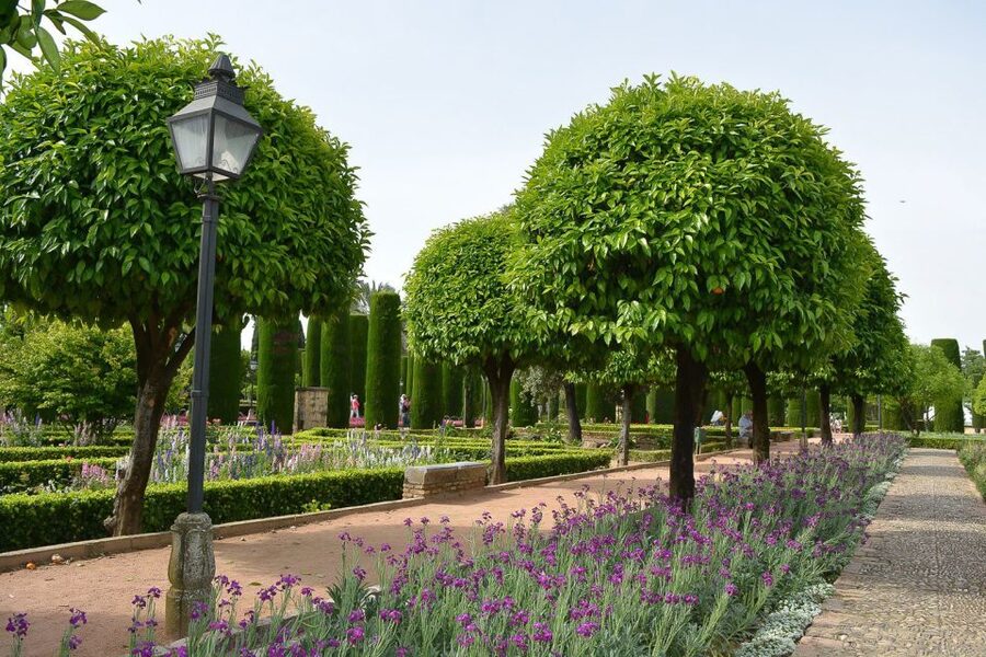 Cordóba: Gardens & Fortress of Catholic Monarchs Guided Tour - Price and value: what $35 buys you in a one-hour format