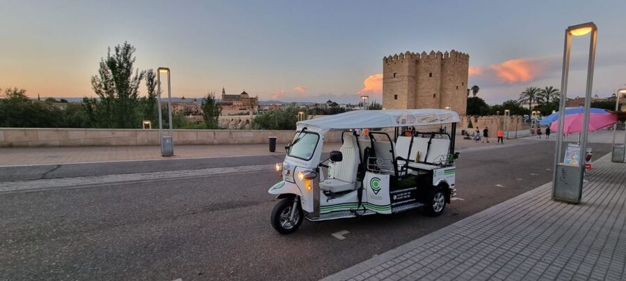 Córdoba: Guided City Tour by Tuk-Tuk - Key points before you go