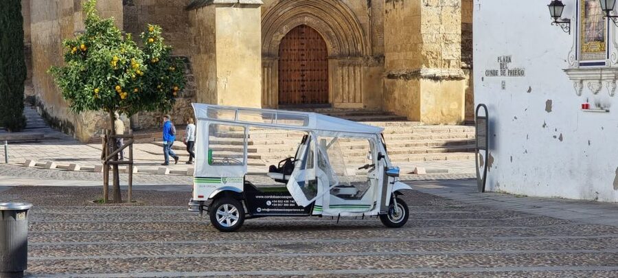 Córdoba: Guided City Tour by Tuk-Tuk - Alcázar stop, then the Mosque-Cathedral break