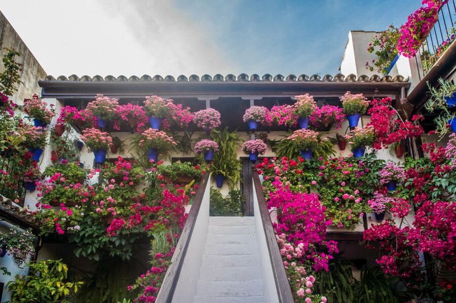 Córdoba: Guided Tour of the Patios - Patios of Córdoba: Why This UNESCO Courtyard Tradition Matters