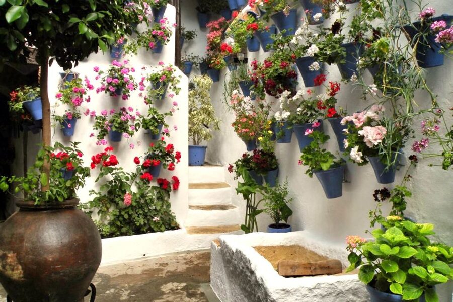 Córdoba: Guided Tour of the Patios - The Roman-to-May Story Your Guide Brings to Life