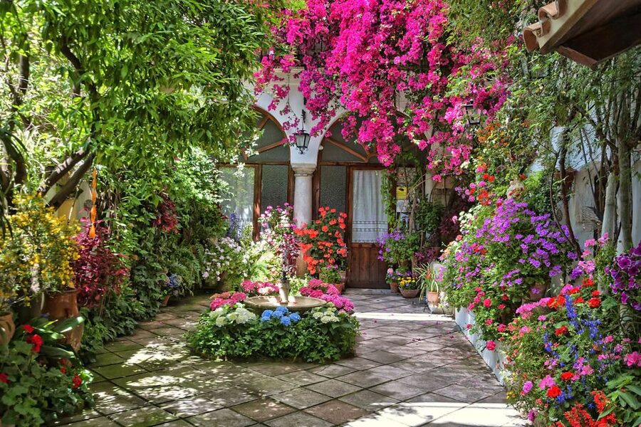 Córdoba: Guided Tour of the Patios - Potential Snags: Crowds, Lines, and How Much Patio Time You Get