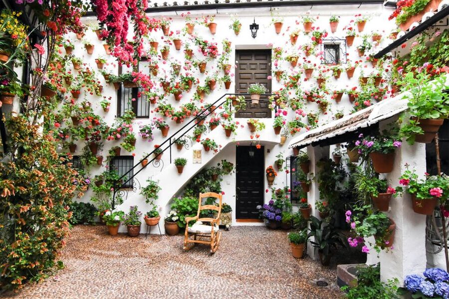 Córdoba: Guided Tour of the Patios - Should You Book the Córdoba Guided Patios Tour?