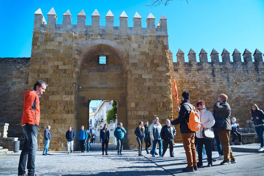 Córdoba: Jewish Quarter, Mosque, and Alcázar Tour - Who should book this Córdoba tour, and who should think twice