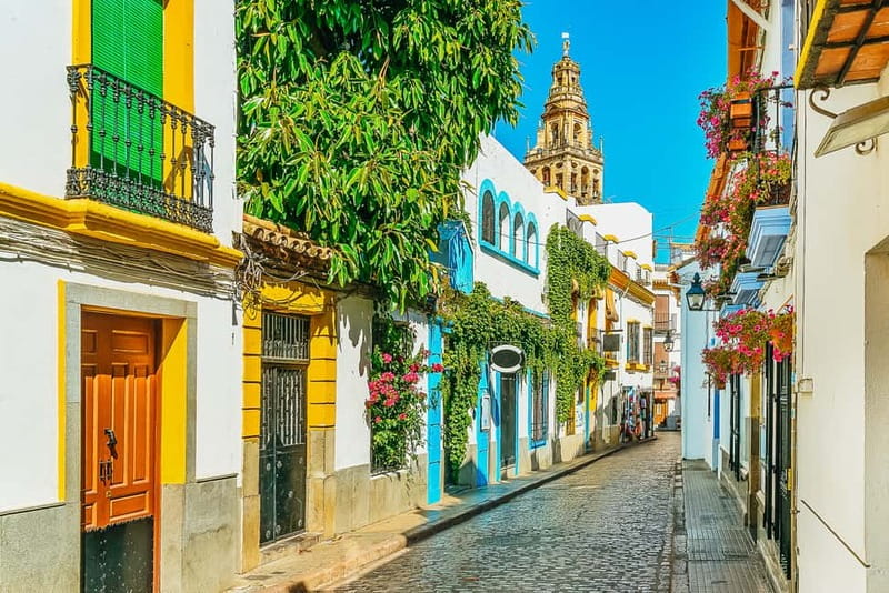 Córdoba: Jewish Quarter, Mosque, and Alcázar Tour - Caliphal Baths: the part that turns big monuments into daily life