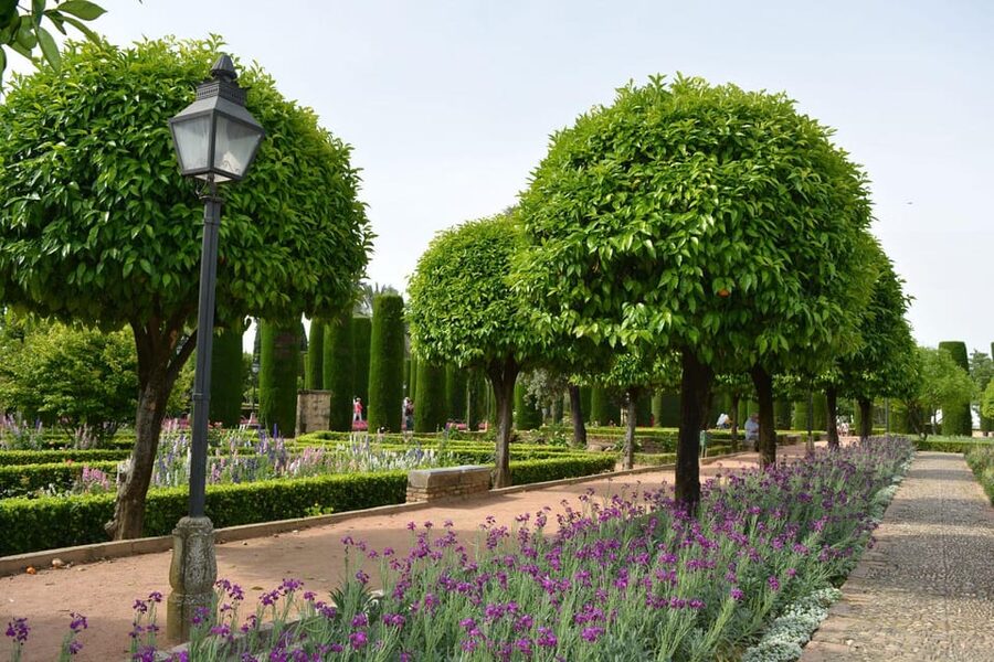 Cordoba: Monuments Walking Tour - FAQ