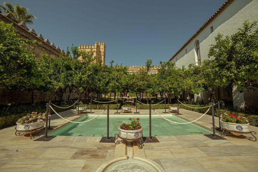 Córdoba: Mosque-Cathedral and Alcazar Tour - Price and value: is $52 a good deal?