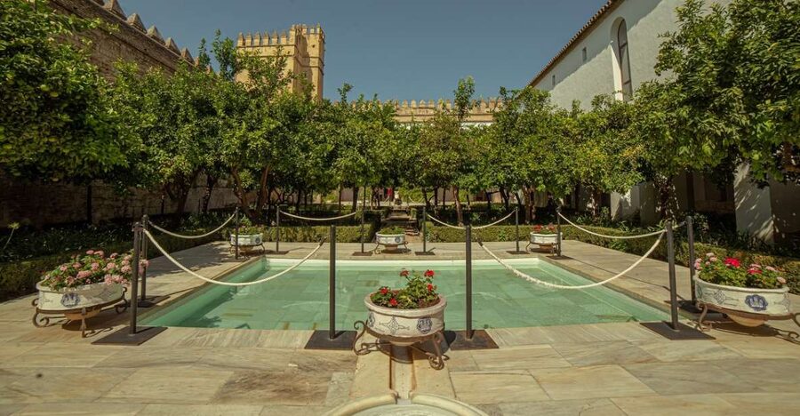 Córdoba: Mosque-Cathedral and Alcazar Tour - How the guide experience really affects your visit