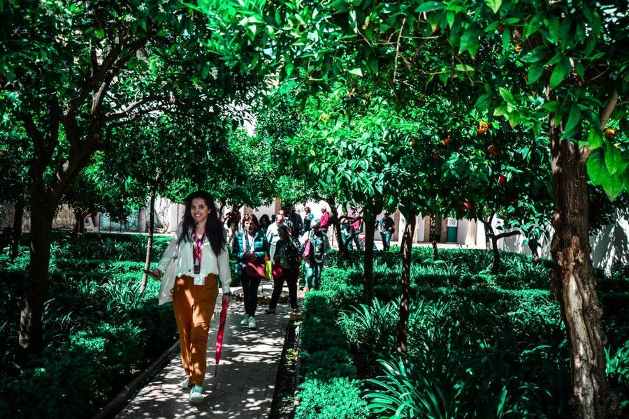 Córdoba: Mosque-Cathedral and Alcazar Tour - Practicalities that can make or break your comfort