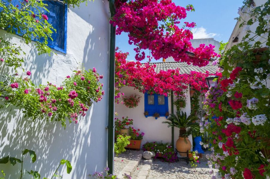 Cordoba's Authentic Patios: 2-Hour Tour with Tickets - Patios in Cordoba, and why UNESCO matters