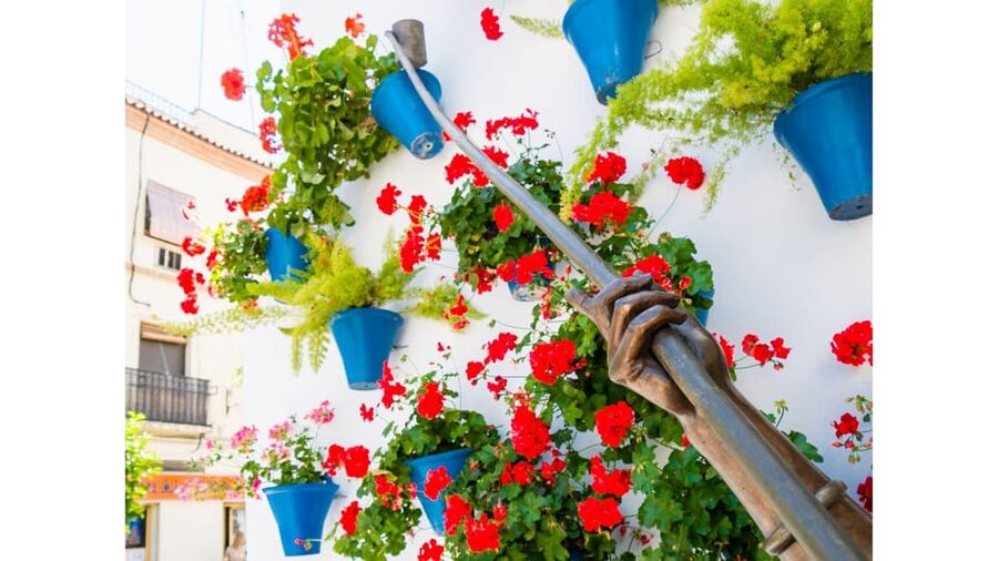 Cordoba's Authentic Patios: 2-Hour Tour with Tickets - The Alcazar Viejo neighborhood walk: what makes it feel authentic