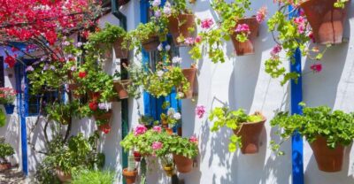 Cordoba’s Authentic Patios: 2-Hour Tour with Tickets