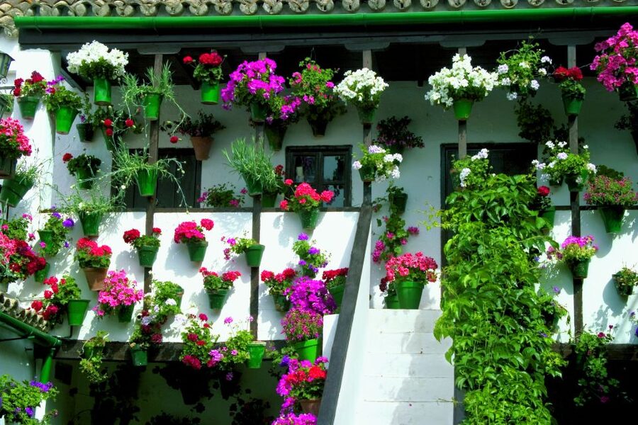 Cordoba's Authentic Patios: 2-Hour Tour with Tickets - Five private patios in San Basilio: what you actually see