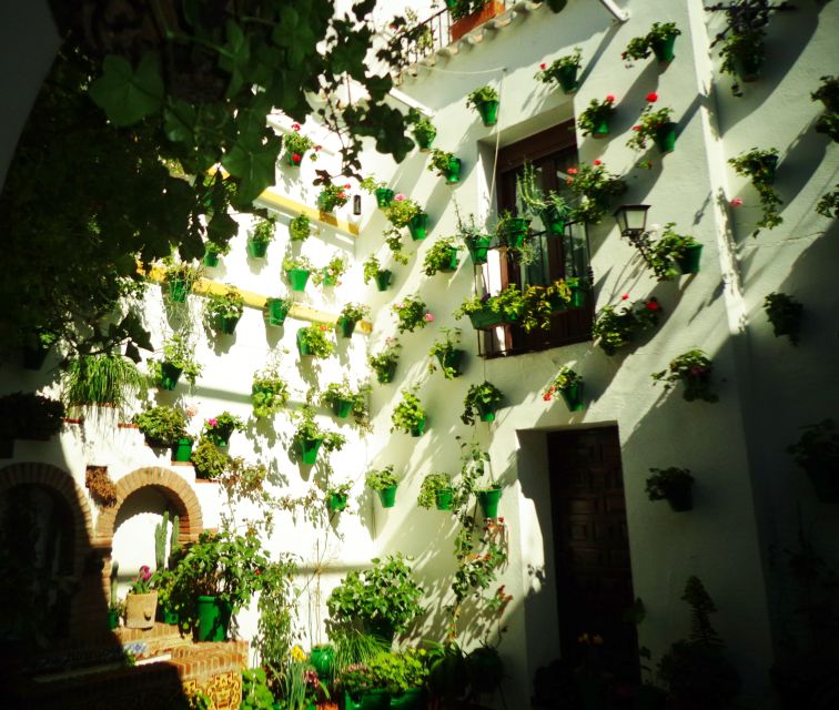 Cordoba's Authentic Patios: 2-Hour Tour with Tickets - Best timing: March, April, May, and the festival route switch
