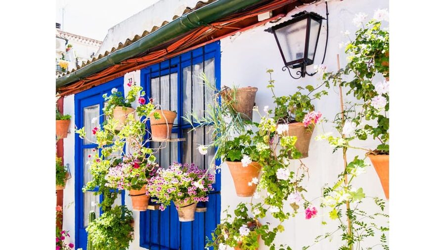 Cordoba's Authentic Patios: 2-Hour Tour with Tickets - Price and value: is $21 fair for what you get?