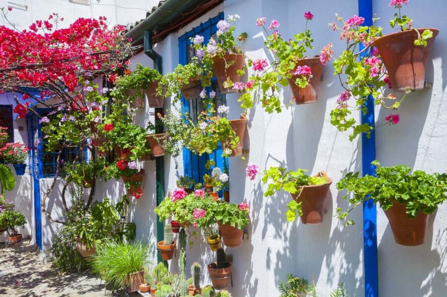 Cordoba's Authentic Patios: 2-Hour Tour with Tickets - What to bring, plus small tips that make the day easier