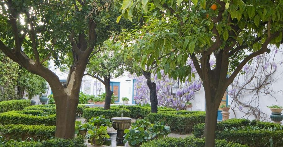 Córdoba: Viana Palace Gardens and Patios Entry Ticket - Finding the Place Fast at Plaza de Don Gome 2
