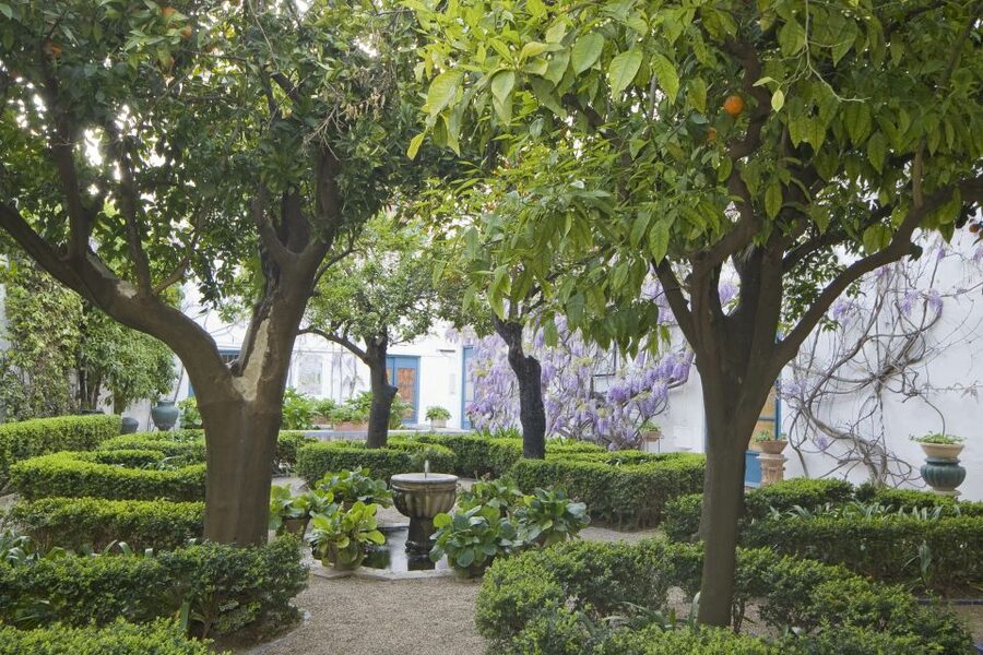 Córdoba: Viana Palace Gardens and Patios Entry Ticket - How the 12 Courtyards Work as a Self-Guided Walk