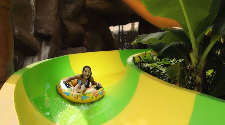 Costa Adeje: Aqualand Water Park Ticket with Dolphin Show - Wave Pool and Vulcano Spa Jacuzzi Breaks That Actually Help