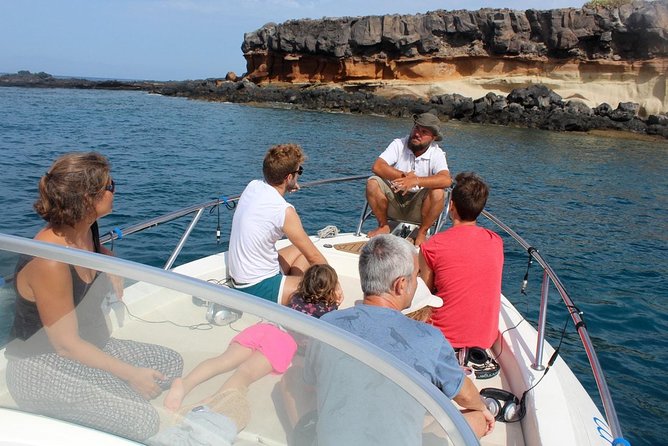 Costa Adeje | Cetacean sighting in Tenerife South - Key points before you book