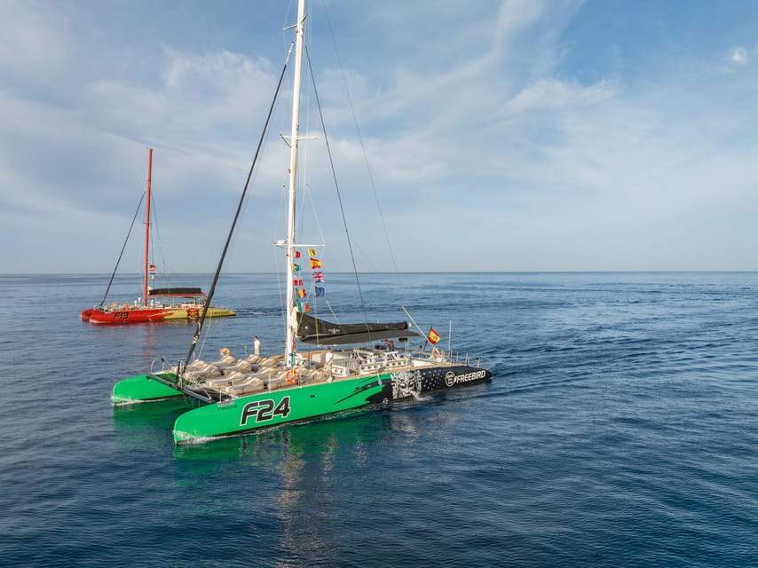 Costa Adeje: Masca and Los Gigantes Whale Watching Cruise - Key points to know before you sail