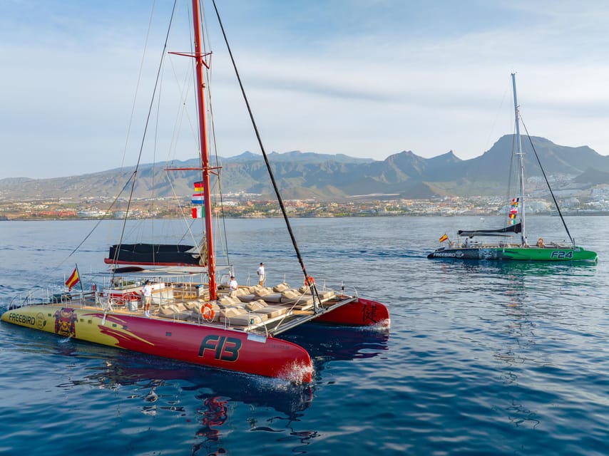Costa Adeje: Masca and Los Gigantes Whale Watching Cruise - Costa Adeje, Los Gigantes, and Masca in one 4.5-hour plan