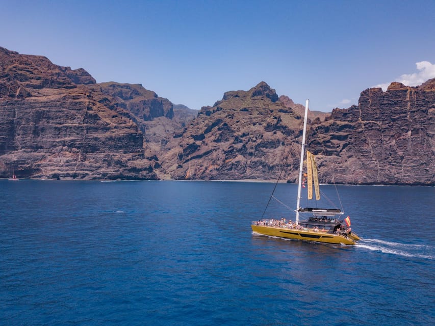 Costa Adeje: Masca and Los Gigantes Whale Watching Cruise - The whale watching zone off Tenerife and La Gomera is the main event