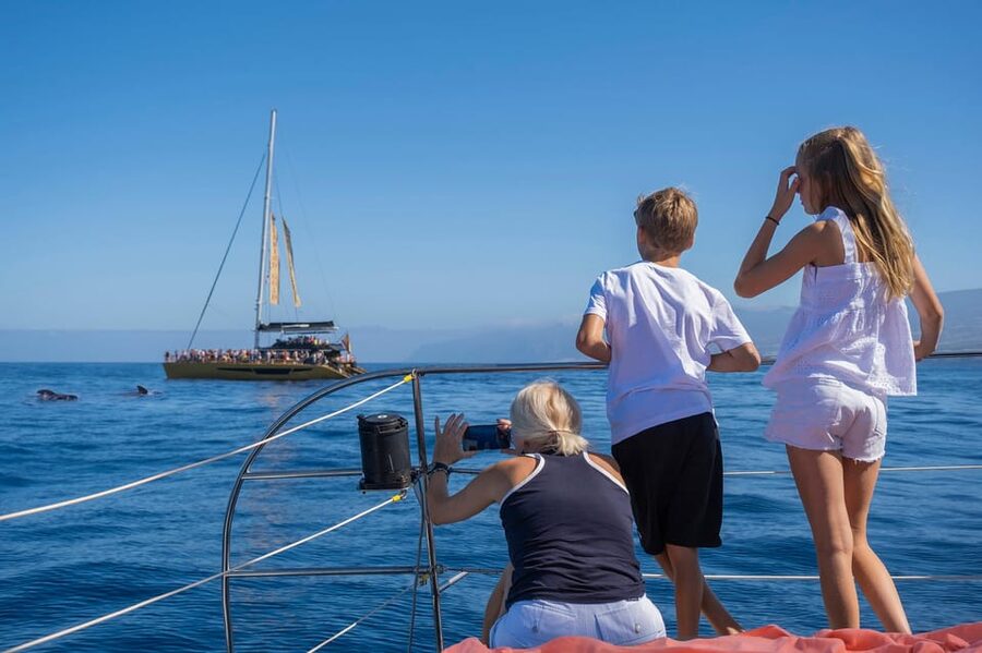 Costa Adeje: Masca and Los Gigantes Whale Watching Cruise - Why the Los Gigantes stop feels more useful than a quick photo break