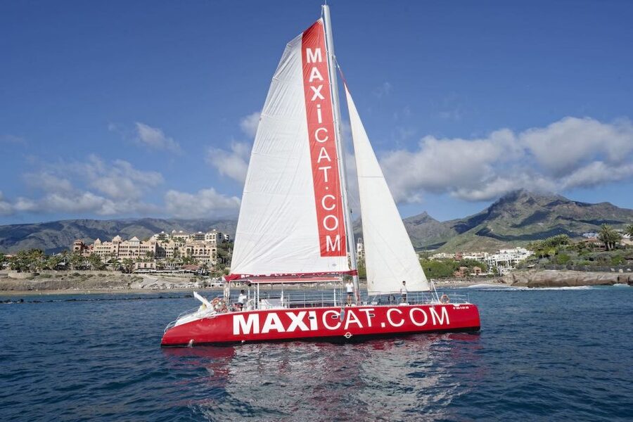 Costa Adeje: Whale and Dolphin Cruise with Food and Pickup - Whale and dolphin spotting: how the crew helps you actually see things