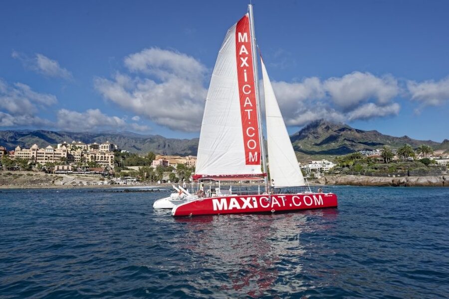 Costa Adeje: Whale and Dolphin Cruise with Food and Pickup - Food and drinks on board: paella-style lunch and unlimited drinks