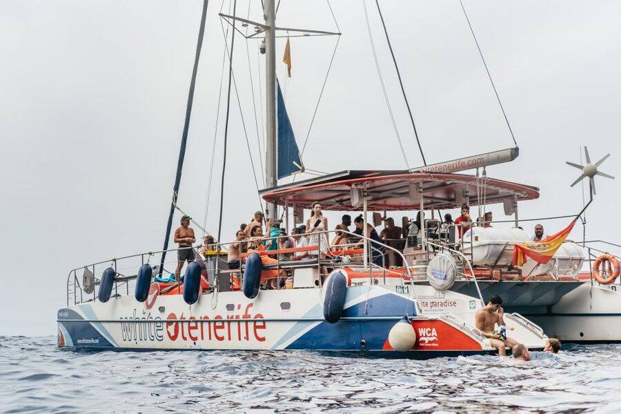 Costa Adeje: Whale & Dolphin Eco-Cruise with Snacks & Drinks - Key points to know before you sail