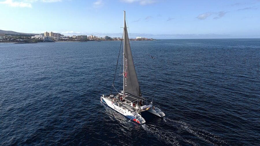 Costa Adeje: Whale & Dolphin Eco-Cruise with Snacks & Drinks - 3 hours vs 5 hours: what changes and what you get for the money