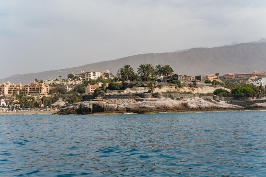 Costa Adeje: Whale & Dolphin Eco-Cruise with Snacks & Drinks - Route scenery you may catch between the wildlife moments
