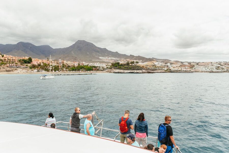 Costa Adeje: Whale & Dolphin Submarine Vision Mini Cruise - Where This Cruise Starts in Puerto Colón (Dock 12)
