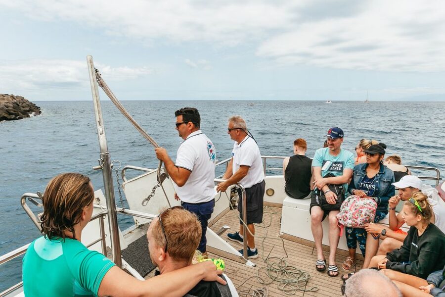 Costa Adeje: Whale & Dolphin Submarine Vision Mini Cruise - Photo Stop and On-Board Viewing Spots