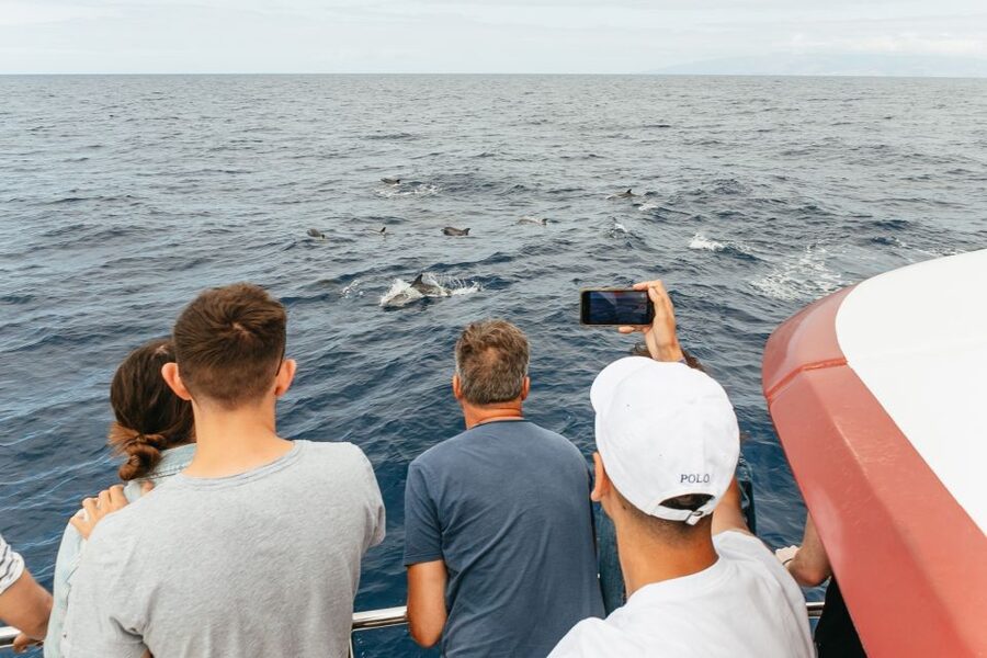 Costa Adeje: Whale & Dolphin Submarine Vision Mini Cruise - Comfort on a Catamaran: Room to Move, But Plan for Motion