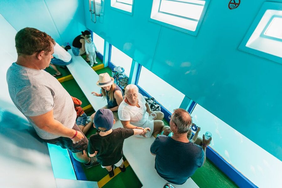 Costa Adeje: Whale & Dolphin Submarine Vision Mini Cruise - Who Should Book This Cruise (and Who Might Pass)