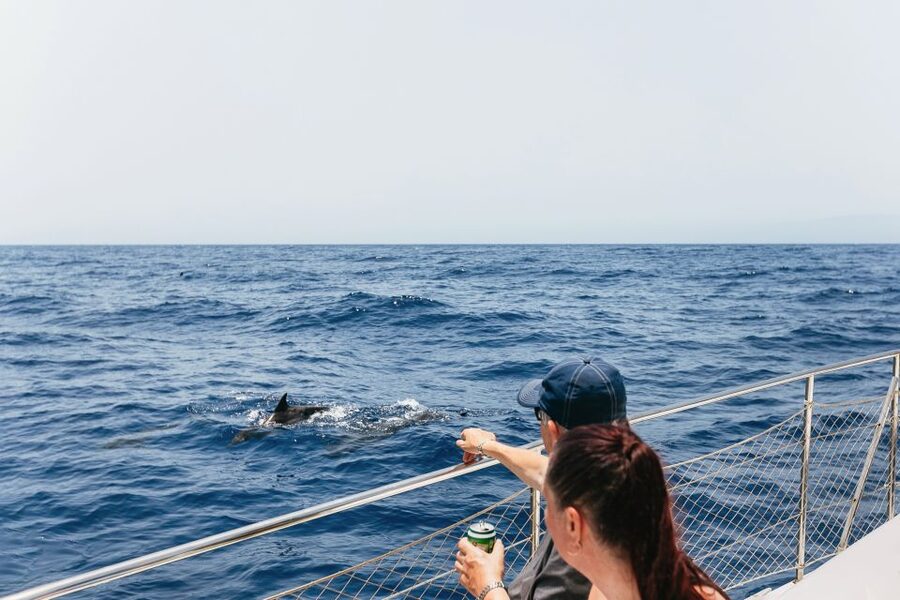 Costa Adeje: Whale Watching Catamaran Tour with Drinks - The whale search process, the 15-minute rule, and your best odds