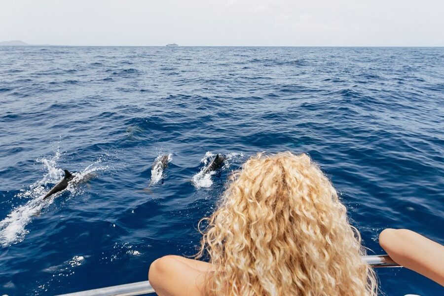 Costa Adeje: Whale Watching Catamaran Tour with Drinks - 2 hours vs 3 hours: how the Playa Espagueti stop changes the day