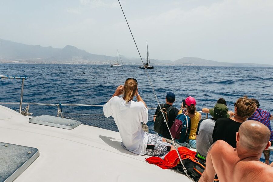 Costa Adeje: Whale Watching Catamaran Tour with Drinks - Who should book this catamaran, and who should think twice