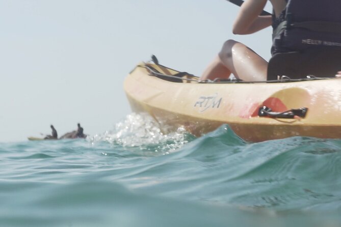 Costa Brava: Kayak, Snorkel, Photos, Lunch, Beach & Cliff Jump! - Snorkeling and Wildlife Moments in Clear Water